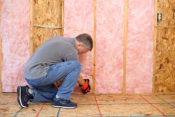 Best Basement Insulation  in Clyde Hill, WA